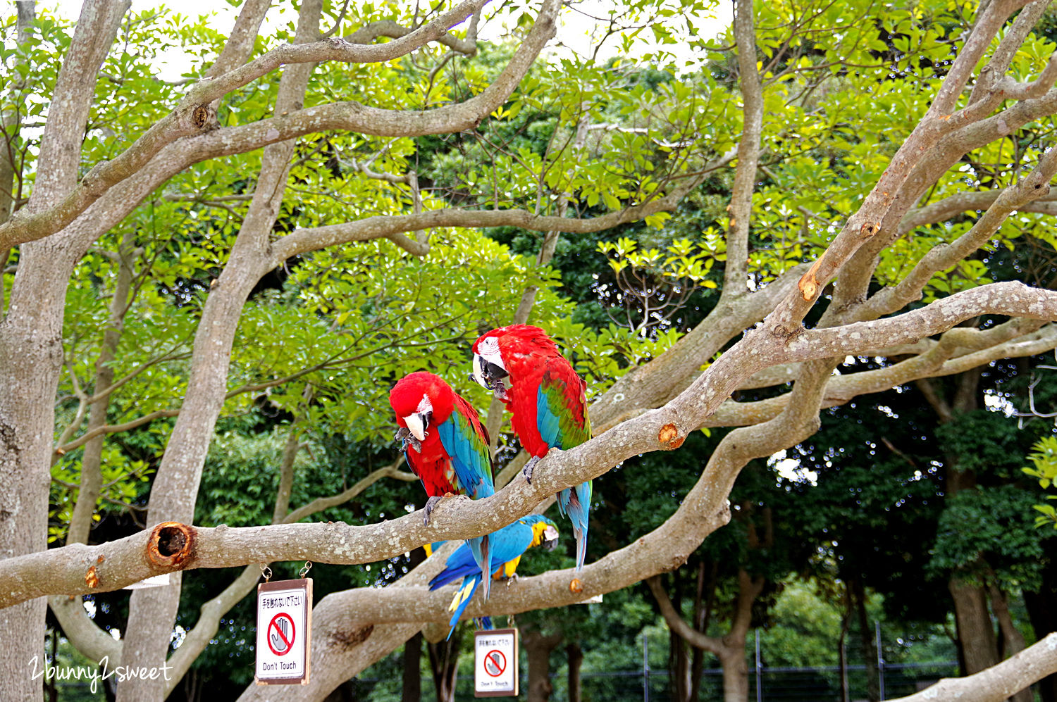 九州福岡特色公園》海之中道海濱公園｜海の中道海浜公園～雲朵蹦蹦床 x 超長溜滑梯 x 水上攀爬網 x 可愛動物區 x 夏季戲水池～親子遊福岡必玩超大型國營公園 @兔兒毛毛姊妹花