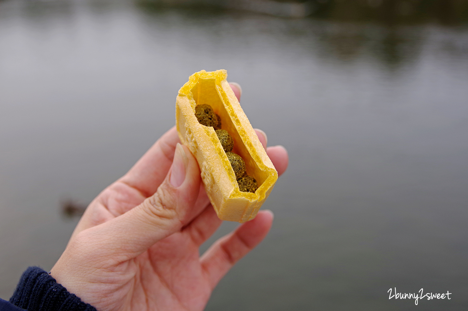 九州福岡特色公園》海之中道海濱公園｜海の中道海浜公園～雲朵蹦蹦床 x 超長溜滑梯 x 水上攀爬網 x 可愛動物區 x 夏季戲水池～親子遊福岡必玩超大型國營公園 @兔兒毛毛姊妹花