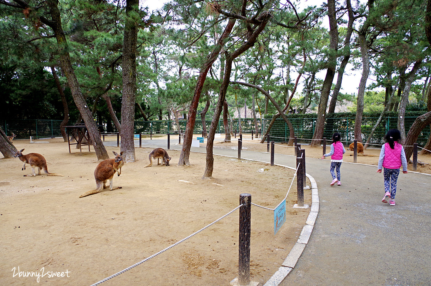 九州福岡特色公園》海之中道海濱公園｜海の中道海浜公園～雲朵蹦蹦床 x 超長溜滑梯 x 水上攀爬網 x 可愛動物區 x 夏季戲水池～親子遊福岡必玩超大型國營公園 @兔兒毛毛姊妹花