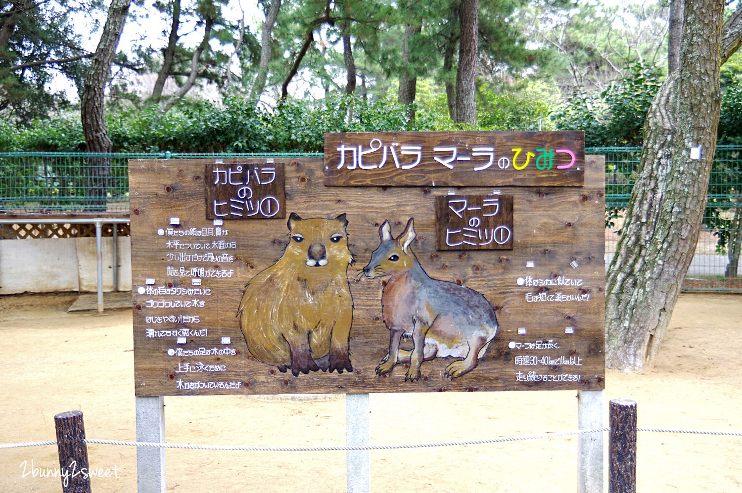 九州福岡特色公園》海之中道海濱公園｜海の中道海浜公園～雲朵蹦蹦床 x 超長溜滑梯 x 水上攀爬網 x 可愛動物區 x 夏季戲水池～親子遊福岡必玩超大型國營公園 @兔兒毛毛姊妹花