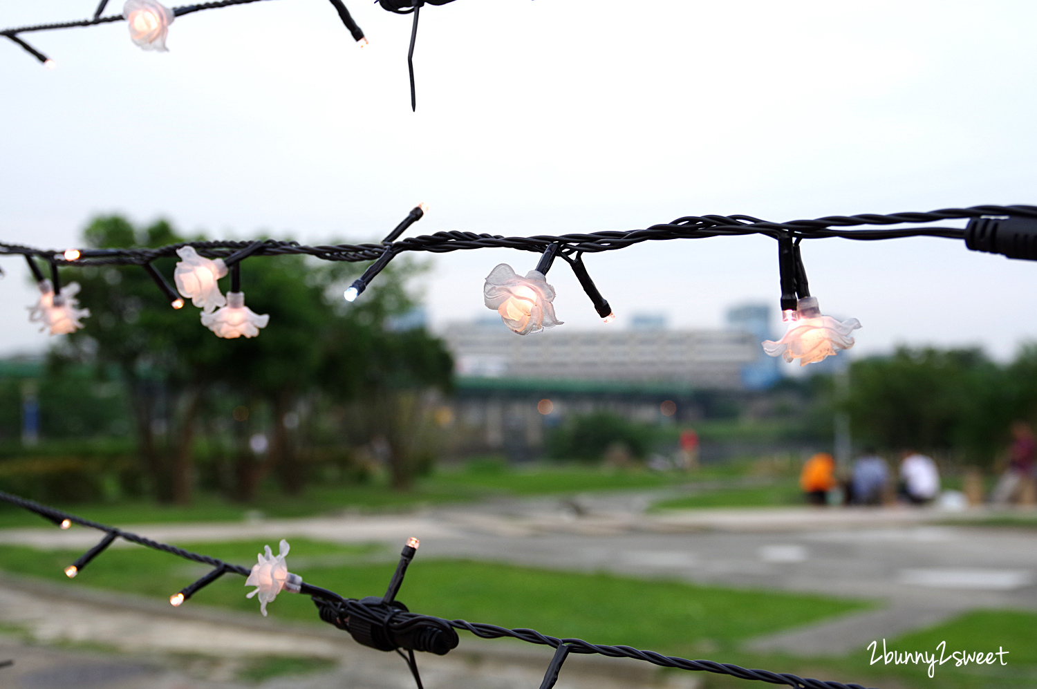 [台北。親子景點] 板橋蝴蝶公園地景花海｜板橋蝴蝶花園-光之饗宴~白天遊花海、晚上賞光雕，50 萬顆燈泡打造光影彩蝶、玫瑰蝶廊、蝴蝶城堡～2019 最浪漫的 IG 美拍景點｜交通及停車資訊 @兔兒毛毛姊妹花