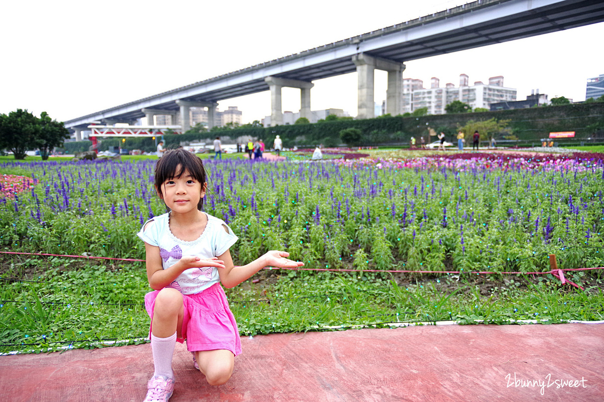 [台北。親子景點] 板橋蝴蝶公園地景花海｜板橋蝴蝶花園-光之饗宴~白天遊花海、晚上賞光雕，50 萬顆燈泡打造光影彩蝶、玫瑰蝶廊、蝴蝶城堡～2019 最浪漫的 IG 美拍景點｜交通及停車資訊 @兔兒毛毛姊妹花