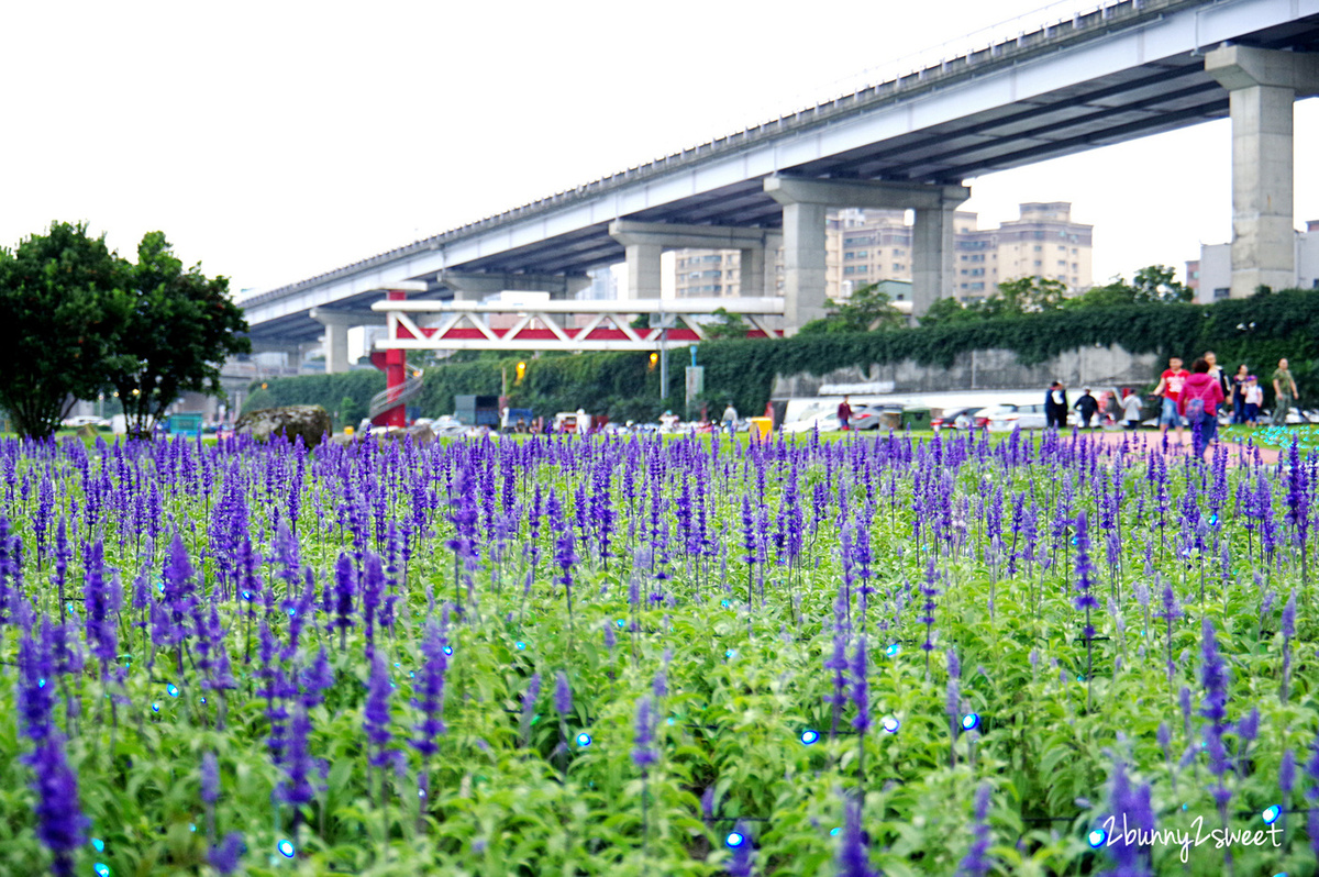 [台北。親子景點] 板橋蝴蝶公園地景花海｜板橋蝴蝶花園-光之饗宴~白天遊花海、晚上賞光雕，50 萬顆燈泡打造光影彩蝶、玫瑰蝶廊、蝴蝶城堡～2019 最浪漫的 IG 美拍景點｜交通及停車資訊 @兔兒毛毛姊妹花