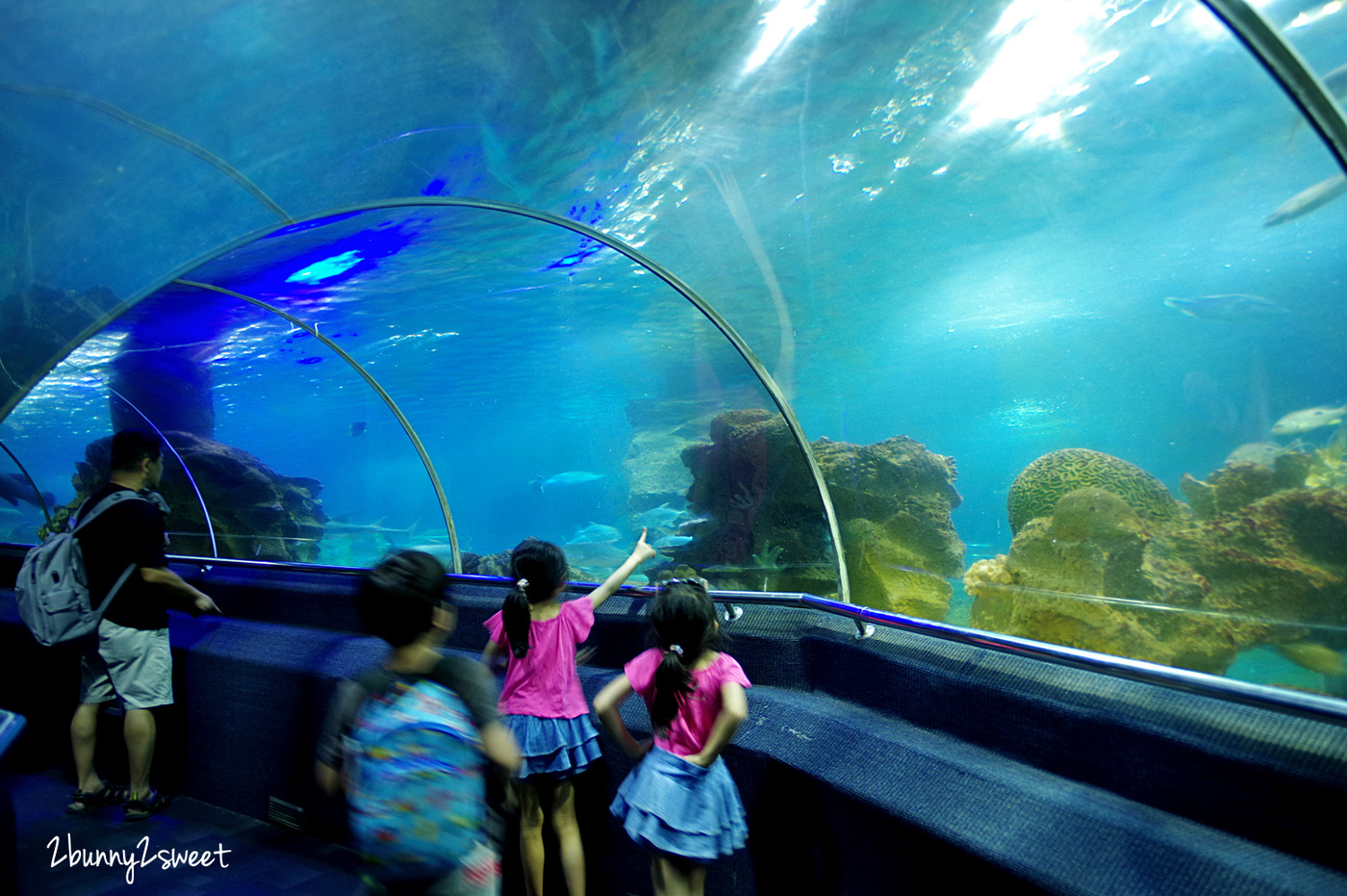 芽莊景點》芽莊珍珠島樂園 Vinpearl Land Nha Trang～陸上樂園、水上樂園，還有海底隧道水族館和動物園～親子必遊「越南迪士尼」真的好好拍也好好玩 @兔兒毛毛姊妹花