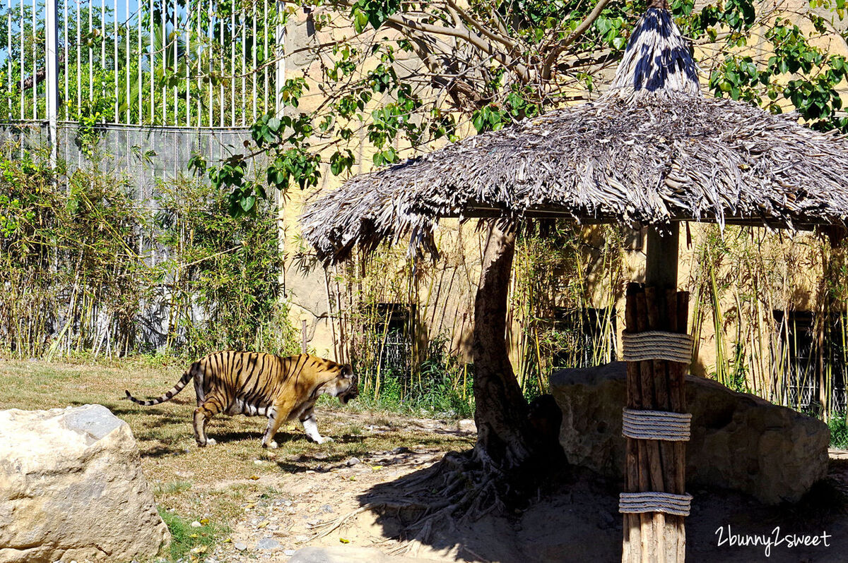 芽莊景點》芽莊珍珠島樂園 Vinpearl Land Nha Trang～陸上樂園、水上樂園，還有海底隧道水族館和動物園～親子必遊「越南迪士尼」真的好好拍也好好玩 @兔兒毛毛姊妹花