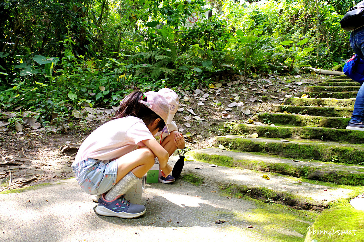 [2019 夏令營。台北] 親子天下 x 自然悠遊～台北森呼吸自然探索夏令營~行走山林、自由深呼吸，讓孩子鍛鍊體力、體驗自然、學習尊重生命的體驗式學習夏令營 @兔兒毛毛姊妹花