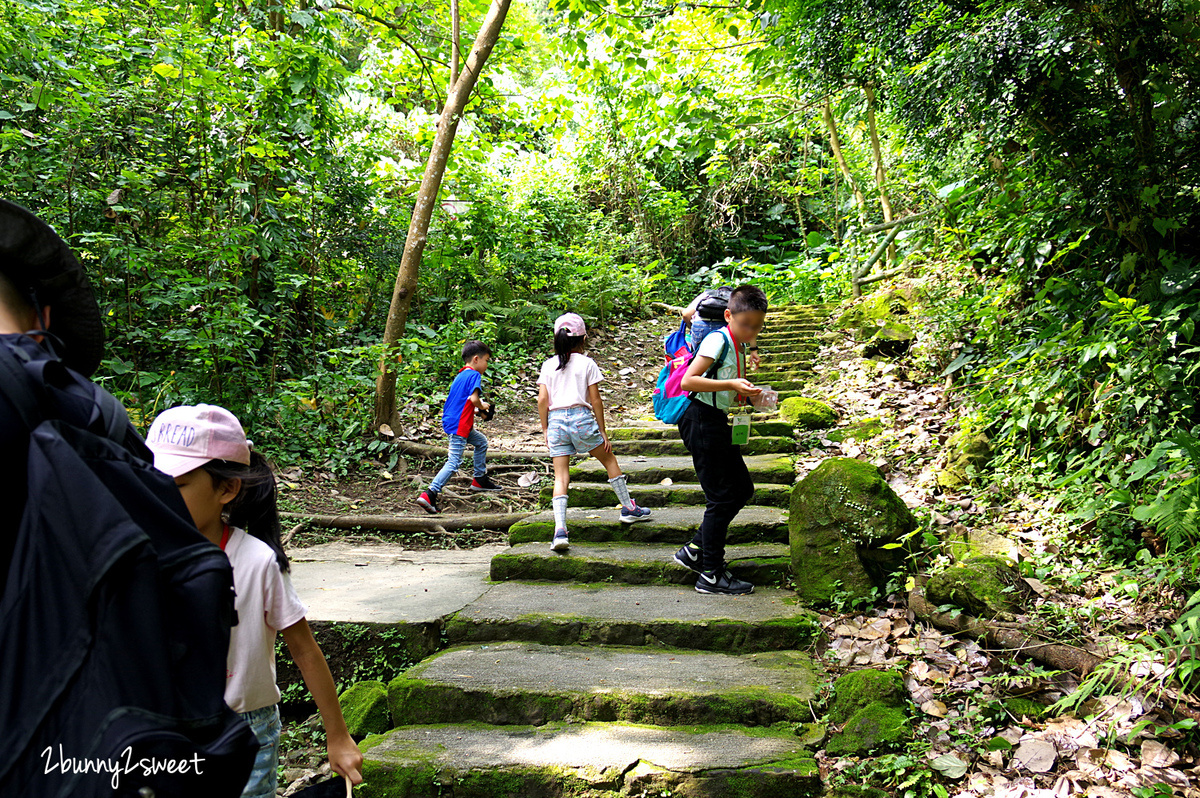 [2019 夏令營。台北] 親子天下 x 自然悠遊～台北森呼吸自然探索夏令營~行走山林、自由深呼吸，讓孩子鍛鍊體力、體驗自然、學習尊重生命的體驗式學習夏令營 @兔兒毛毛姊妹花