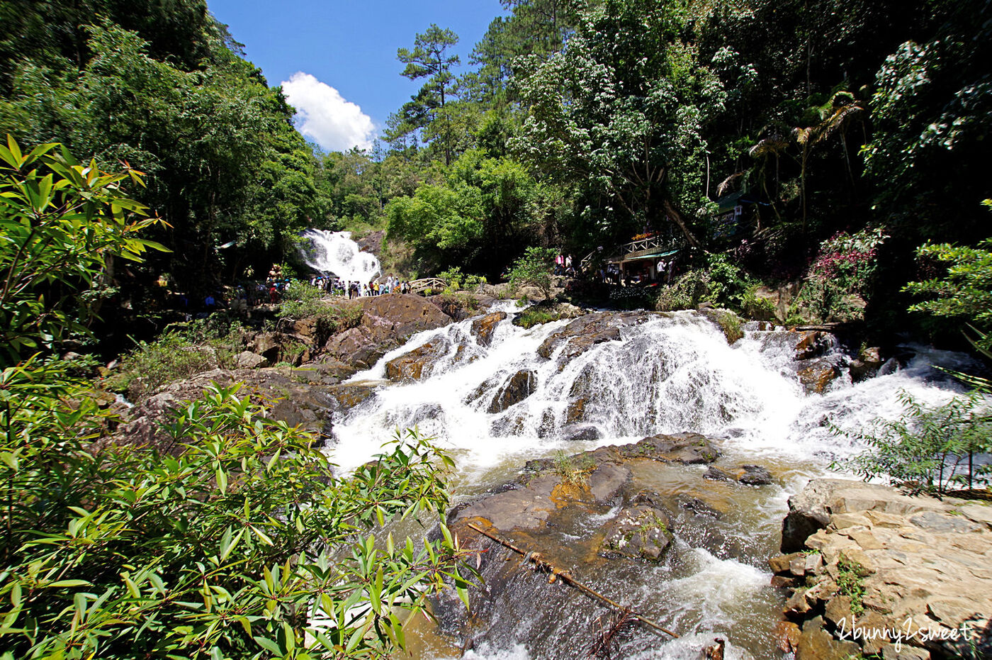 [越南｜大叻。親子景點] 達坦拉瀑布｜Datala Falls~搭乘刺激的高山過山車穿梭森林間，漫步在鳥叫蟲鳴溪水聲伴奏的芬多精步道｜誠旺旅行社 愛越芽莊｜芽莊直航｜山坡滑車 @兔兒毛毛姊妹花