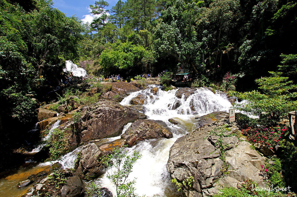 [越南｜大叻。親子景點] 達坦拉瀑布｜Datala Falls~搭乘刺激的高山過山車穿梭森林間，漫步在鳥叫蟲鳴溪水聲伴奏的芬多精步道｜誠旺旅行社 愛越芽莊｜芽莊直航｜山坡滑車 @兔兒毛毛姊妹花