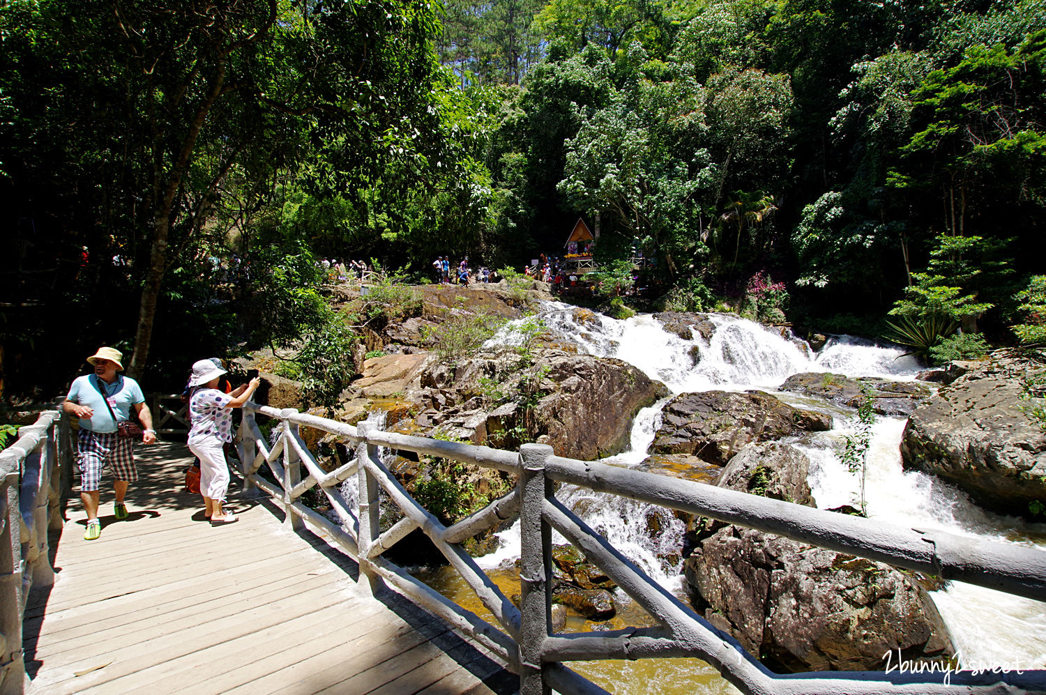 [越南｜大叻。親子景點] 達坦拉瀑布｜Datala Falls~搭乘刺激的高山過山車穿梭森林間，漫步在鳥叫蟲鳴溪水聲伴奏的芬多精步道｜誠旺旅行社 愛越芽莊｜芽莊直航｜山坡滑車 @兔兒毛毛姊妹花