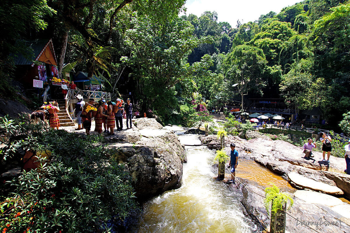 [越南｜大叻。親子景點] 達坦拉瀑布｜Datala Falls~搭乘刺激的高山過山車穿梭森林間，漫步在鳥叫蟲鳴溪水聲伴奏的芬多精步道｜誠旺旅行社 愛越芽莊｜芽莊直航｜山坡滑車 @兔兒毛毛姊妹花