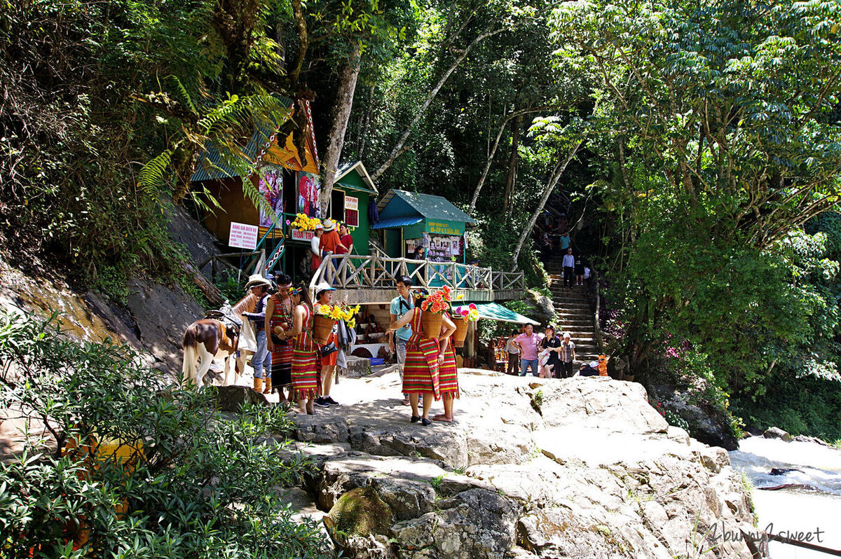 [越南｜大叻。親子景點] 達坦拉瀑布｜Datala Falls~搭乘刺激的高山過山車穿梭森林間，漫步在鳥叫蟲鳴溪水聲伴奏的芬多精步道｜誠旺旅行社 愛越芽莊｜芽莊直航｜山坡滑車 @兔兒毛毛姊妹花