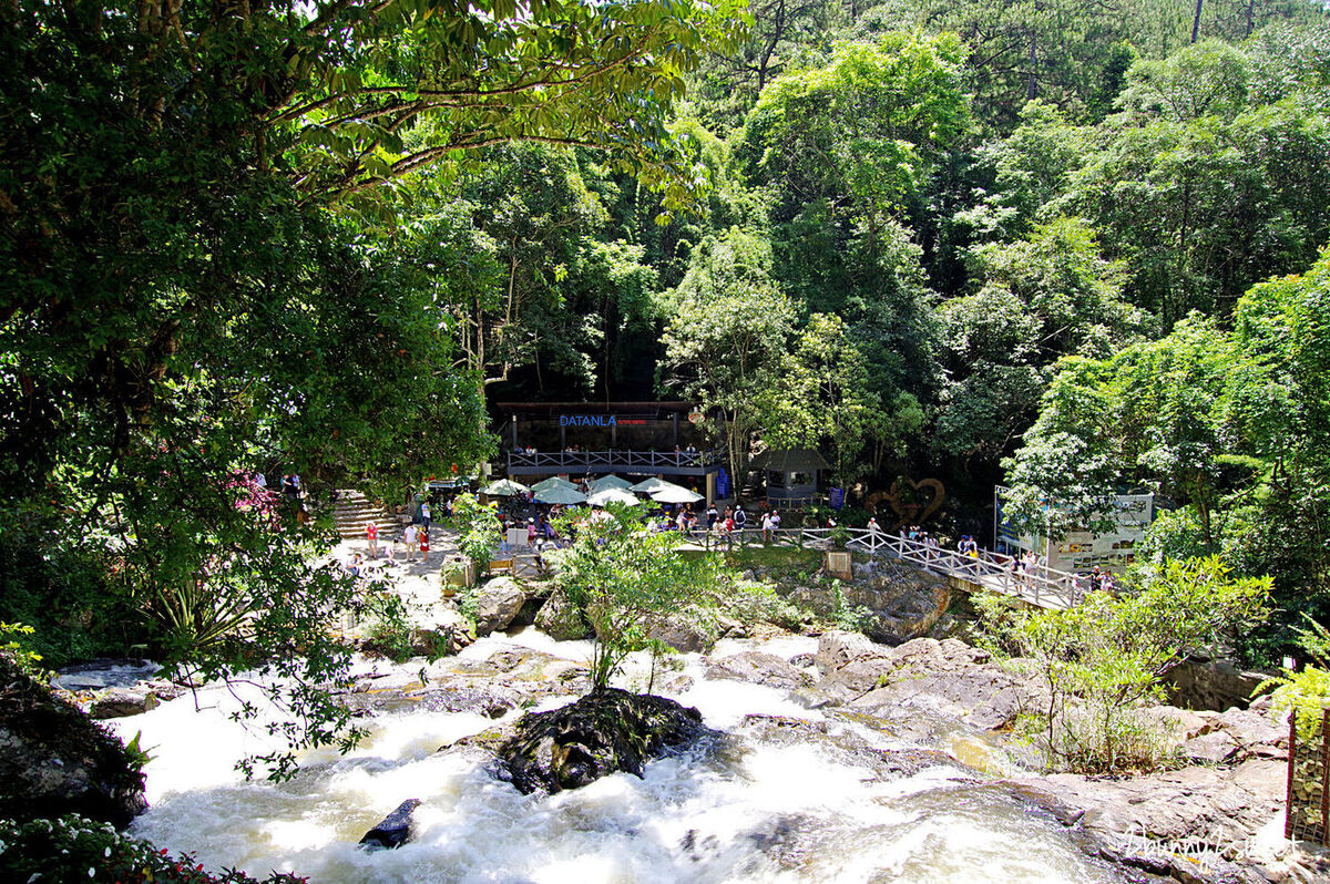 [越南｜大叻。親子景點] 達坦拉瀑布｜Datala Falls~搭乘刺激的高山過山車穿梭森林間，漫步在鳥叫蟲鳴溪水聲伴奏的芬多精步道｜誠旺旅行社 愛越芽莊｜芽莊直航｜山坡滑車 @兔兒毛毛姊妹花