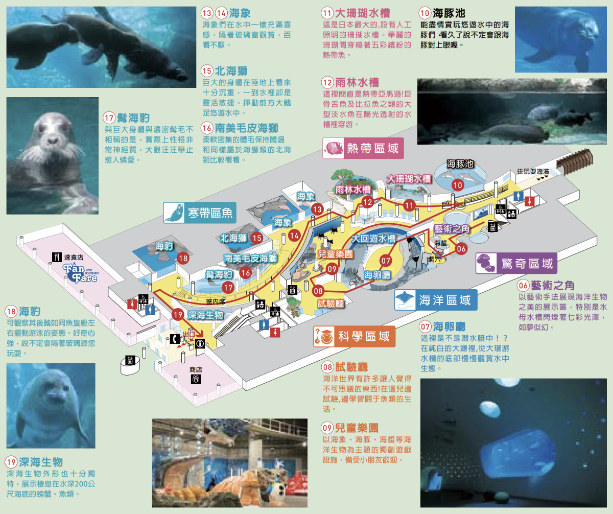 九州大分親子景點》大分海洋宮殿水族館 海之卵｜うみたまご～未來感白色蛋形展覽廳 x 超萌海洋生物室內遊戲區 x 海獺、海獅、海象、鵜鶘大明星表演 x 近距離與海豚玩耍戲水池～九州大分室內景點｜雨天景點 @兔兒毛毛姊妹花