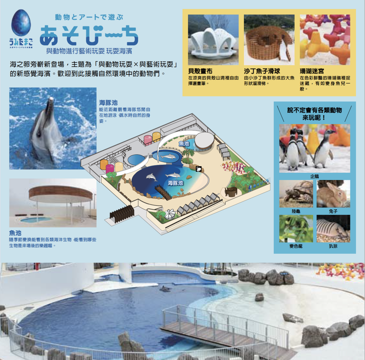 九州大分親子景點》大分海洋宮殿水族館 海之卵｜うみたまご～未來感白色蛋形展覽廳 x 超萌海洋生物室內遊戲區 x 海獺、海獅、海象、鵜鶘大明星表演 x 近距離與海豚玩耍戲水池～九州大分室內景點｜雨天景點 @兔兒毛毛姊妹花