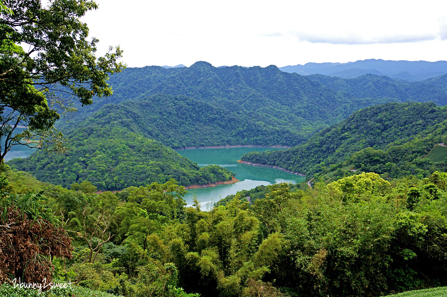 石碇千島湖觀景臺｜千島湖最佳拍照點 原來是個免門票的私人小吃店～雲鄉茶園 @兔兒毛毛姊妹花