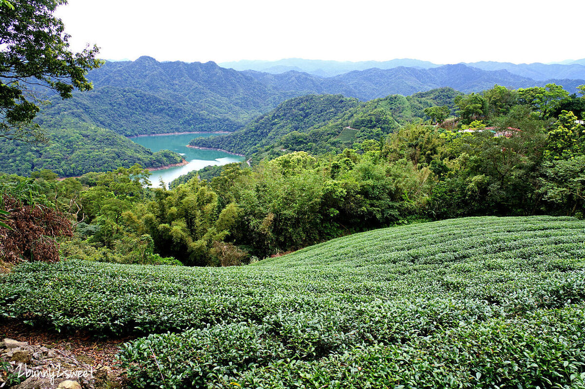 石碇千島湖觀景臺｜千島湖最佳拍照點 原來是個免門票的私人小吃店～雲鄉茶園 @兔兒毛毛姊妹花