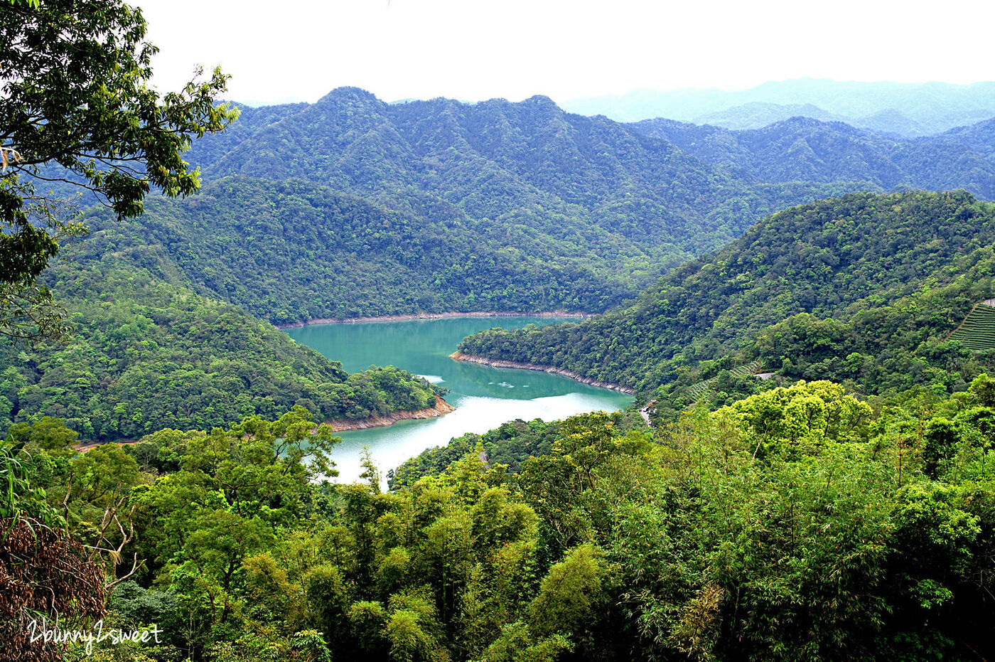 石碇千島湖觀景臺｜千島湖最佳拍照點 原來是個免門票的私人小吃店～雲鄉茶園 @兔兒毛毛姊妹花