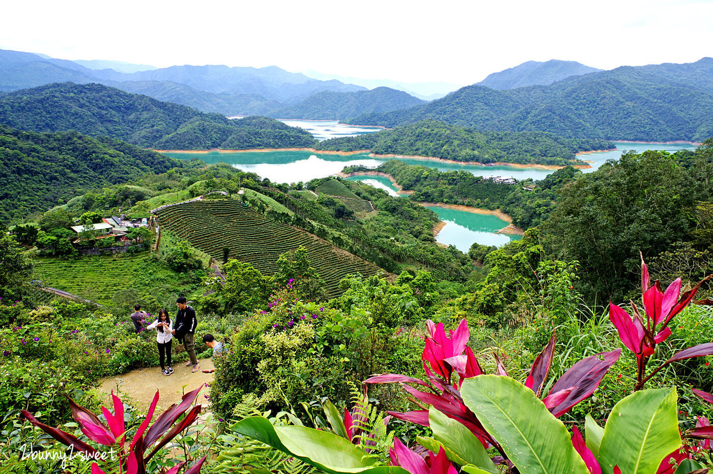 石碇千島湖觀景臺｜千島湖最佳拍照點 原來是個免門票的私人小吃店～雲鄉茶園 @兔兒毛毛姊妹花