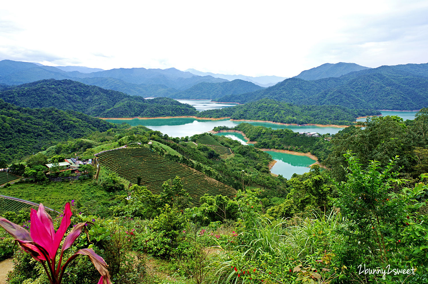 石碇千島湖觀景臺｜千島湖最佳拍照點 原來是個免門票的私人小吃店～雲鄉茶園 @兔兒毛毛姊妹花