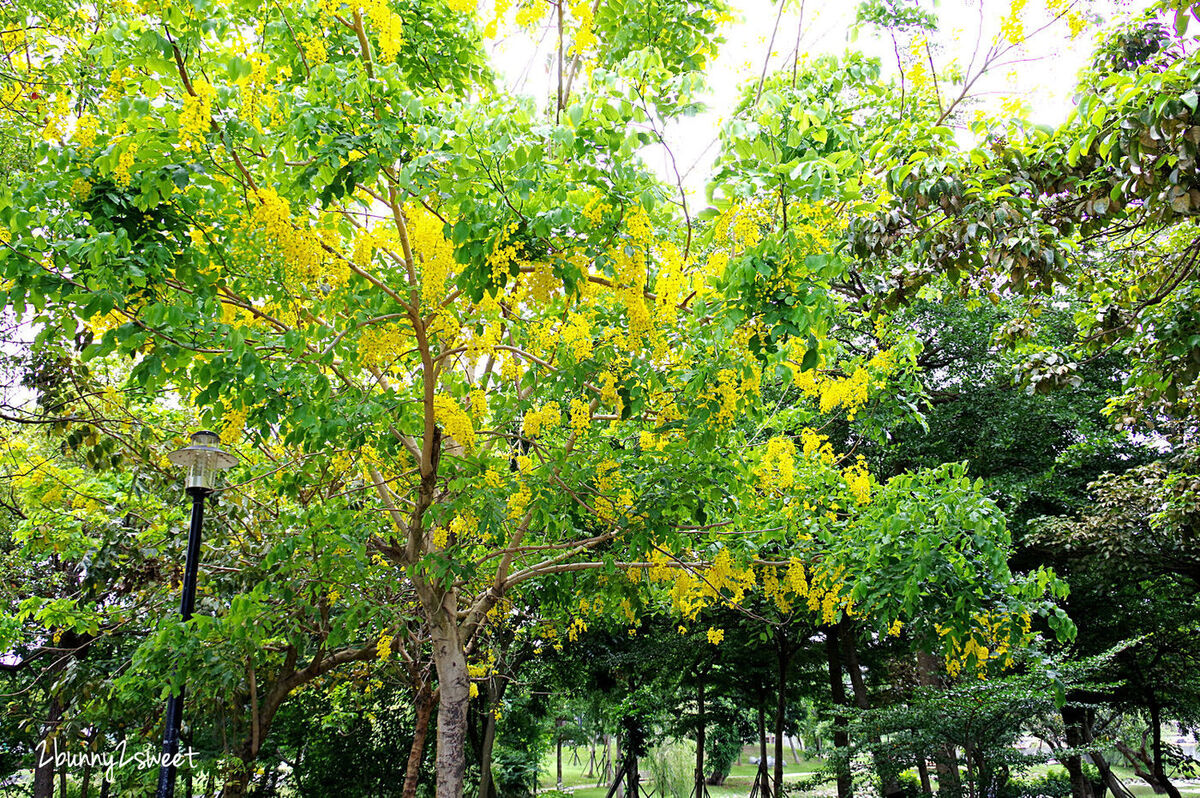 [台南。特色公園] 葫蘆埤自然公園～水岸吊橋自然景觀 x 放電雙道石頭溜滑梯 x 錢來也雜貨店特色菱角冰～台南官田免費親子休閒景點｜特色溜滑梯 @兔兒毛毛姊妹花