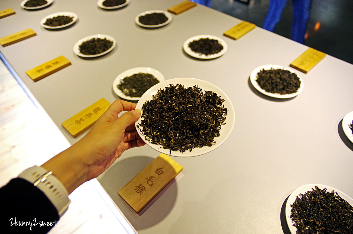 [新北。親子景點] 新北市坪林茶業博物館~銅板價就能認識茶葉文化、透過科技互動遊戲體驗採茶、製茶的闔家休閒好地方｜新北市民免費景點｜雨天景點｜室內景點｜坪林半日遊｜石碇坪林一日遊 @兔兒毛毛姊妹花