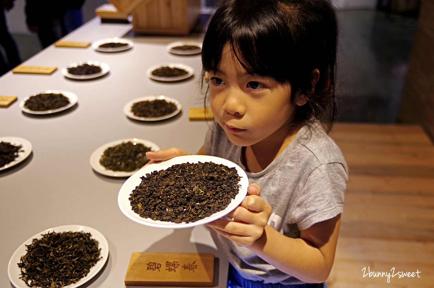 [新北。親子景點] 新北市坪林茶業博物館~銅板價就能認識茶葉文化、透過科技互動遊戲體驗採茶、製茶的闔家休閒好地方｜新北市民免費景點｜雨天景點｜室內景點｜坪林半日遊｜石碇坪林一日遊 @兔兒毛毛姊妹花