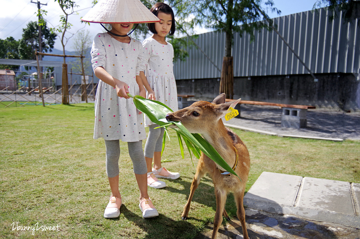 宜蘭親子景點》張美阿嬤農場～全台唯一能穿和服在日式庭園裡餵梅花鹿、水豚君的農場!! 另有 DIY 及農村體驗活動可報名｜停車場｜收費方式｜預約報名表連結|三星一日遊 @兔兒毛毛姊妹花