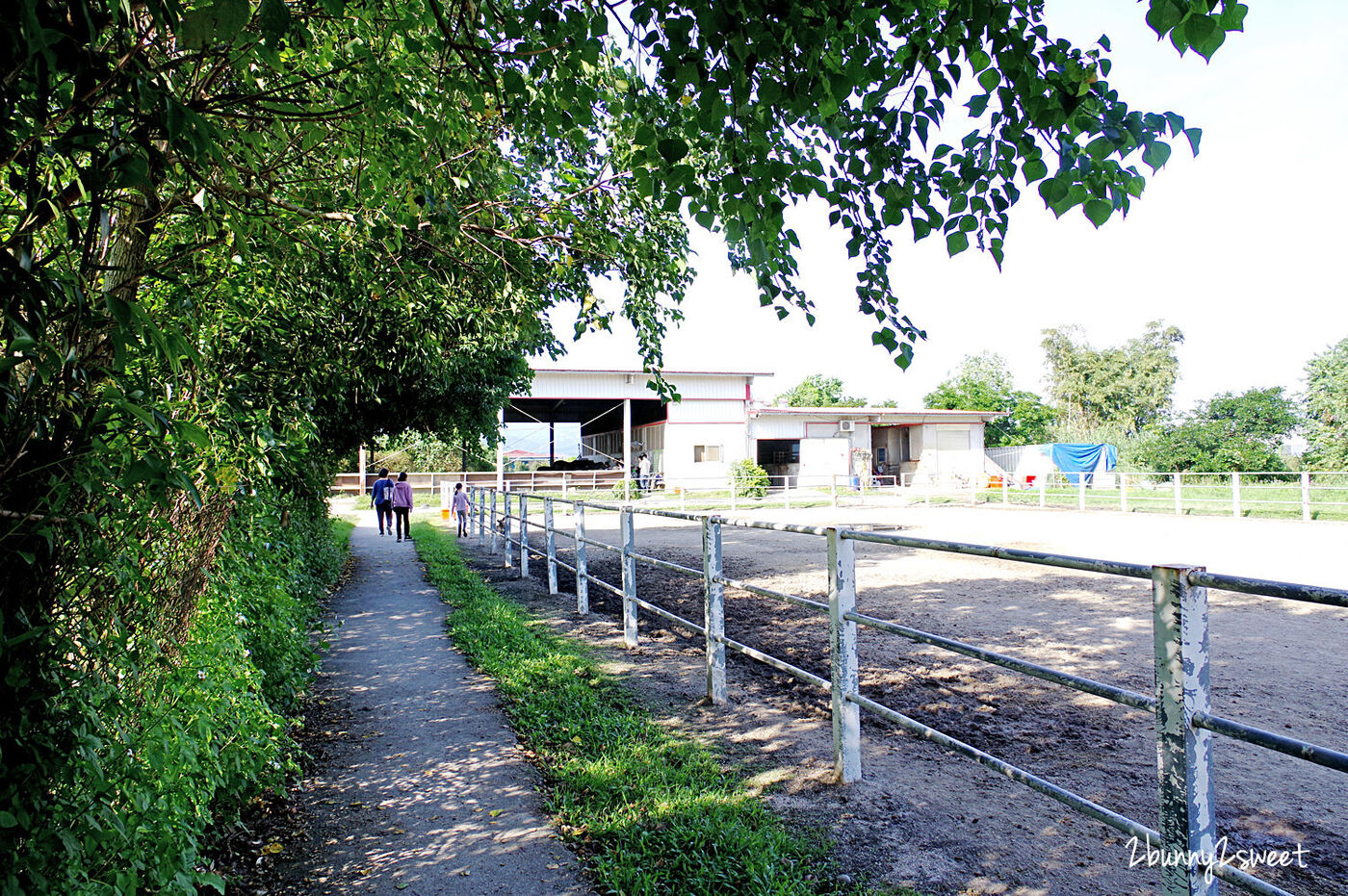 宜蘭親子景點》大洲馬場～不論晴天雨天都能免費看馬、摸馬，銅板價餵馬，牽騎迷你馬也只要 100 元～宜蘭三星隱藏版餵食動物景點｜免費景點｜宜蘭農牧場 @兔兒毛毛姊妹花