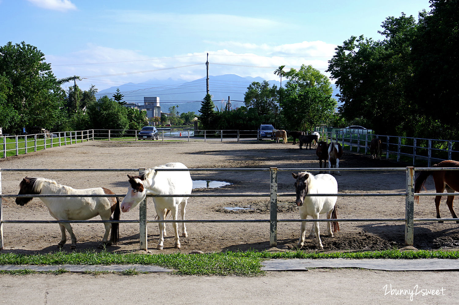 宜蘭親子景點》大洲馬場～不論晴天雨天都能免費看馬、摸馬，銅板價餵馬，牽騎迷你馬也只要 100 元～宜蘭三星隱藏版餵食動物景點｜免費景點｜宜蘭農牧場 @兔兒毛毛姊妹花