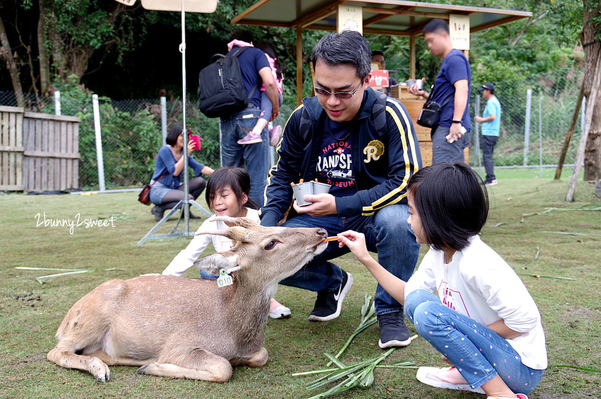 宜蘭親子景點》斑比山丘 Bambi Land 網路預約免排隊~近距離撫摸、餵食梅花鹿 x 超萌小鹿主題文創商店 x 好好拍網美拍照場景～宜蘭冬山超療癒梅花鹿休閒農場｜斑比山丘交通、停車、排隊、預約方式 @兔兒毛毛姊妹花