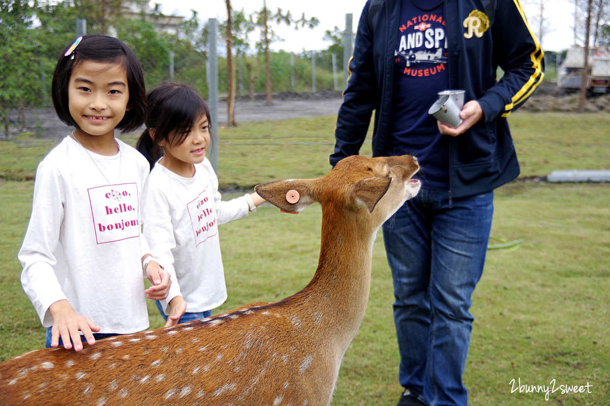 宜蘭親子景點》斑比山丘 Bambi Land 網路預約免排隊~近距離撫摸、餵食梅花鹿 x 超萌小鹿主題文創商店 x 好好拍網美拍照場景～宜蘭冬山超療癒梅花鹿休閒農場｜斑比山丘交通、停車、排隊、預約方式 @兔兒毛毛姊妹花