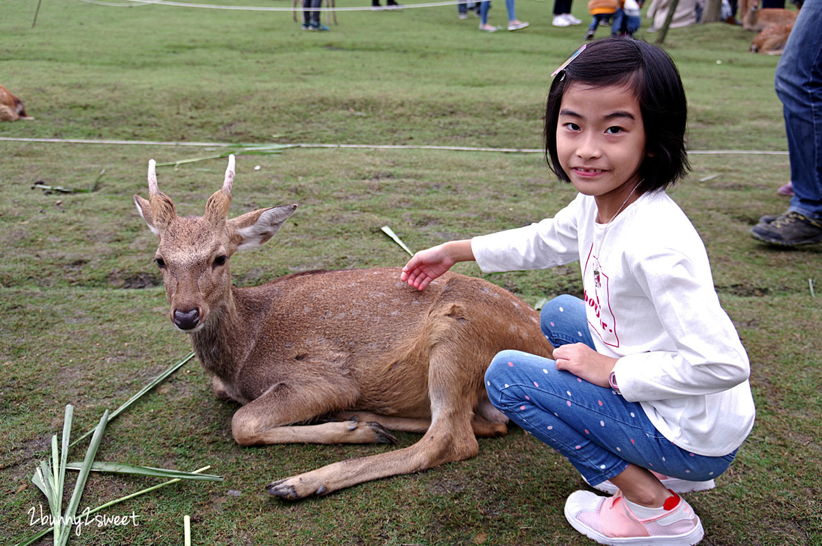 宜蘭親子景點》斑比山丘 Bambi Land 網路預約免排隊~近距離撫摸、餵食梅花鹿 x 超萌小鹿主題文創商店 x 好好拍網美拍照場景～宜蘭冬山超療癒梅花鹿休閒農場｜斑比山丘交通、停車、排隊、預約方式 @兔兒毛毛姊妹花