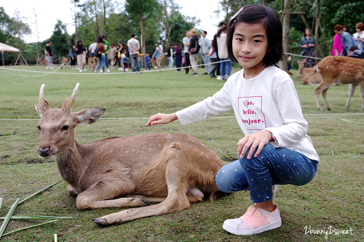 宜蘭親子景點》斑比山丘 Bambi Land 網路預約免排隊~近距離撫摸、餵食梅花鹿 x 超萌小鹿主題文創商店 x 好好拍網美拍照場景～宜蘭冬山超療癒梅花鹿休閒農場｜斑比山丘交通、停車、排隊、預約方式 @兔兒毛毛姊妹花