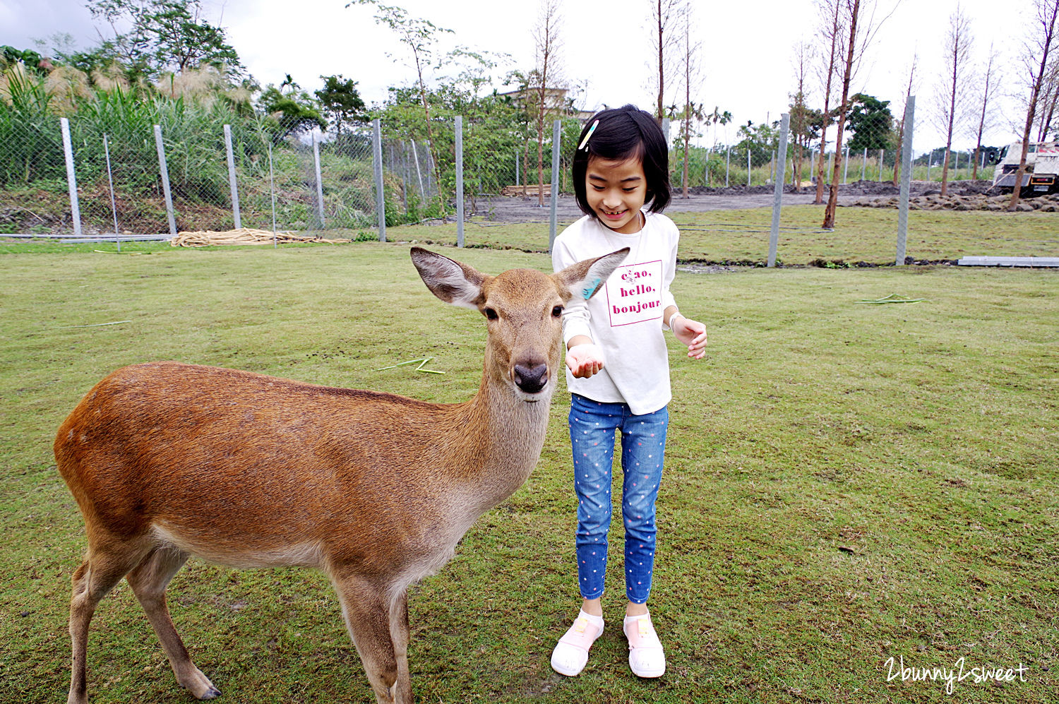 宜蘭親子景點》斑比山丘 Bambi Land 網路預約免排隊~近距離撫摸、餵食梅花鹿 x 超萌小鹿主題文創商店 x 好好拍網美拍照場景～宜蘭冬山超療癒梅花鹿休閒農場｜斑比山丘交通、停車、排隊、預約方式 @兔兒毛毛姊妹花