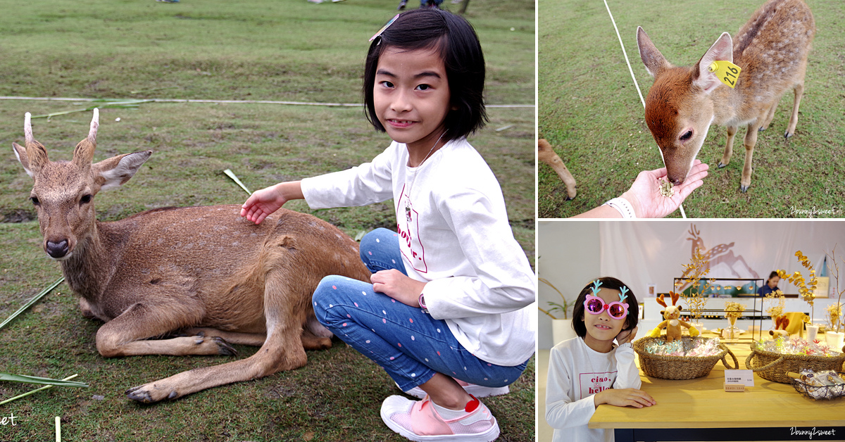 宜蘭親子景點》斑比山丘 Bambi Land 網路預約免排隊~近距離撫摸、餵食梅花鹿 x 超萌小鹿主題文創商店 x 好好拍網美拍照場景～宜蘭冬山超療癒梅花鹿休閒農場｜斑比山丘交通、停車、排隊、預約方式 @兔兒毛毛姊妹花