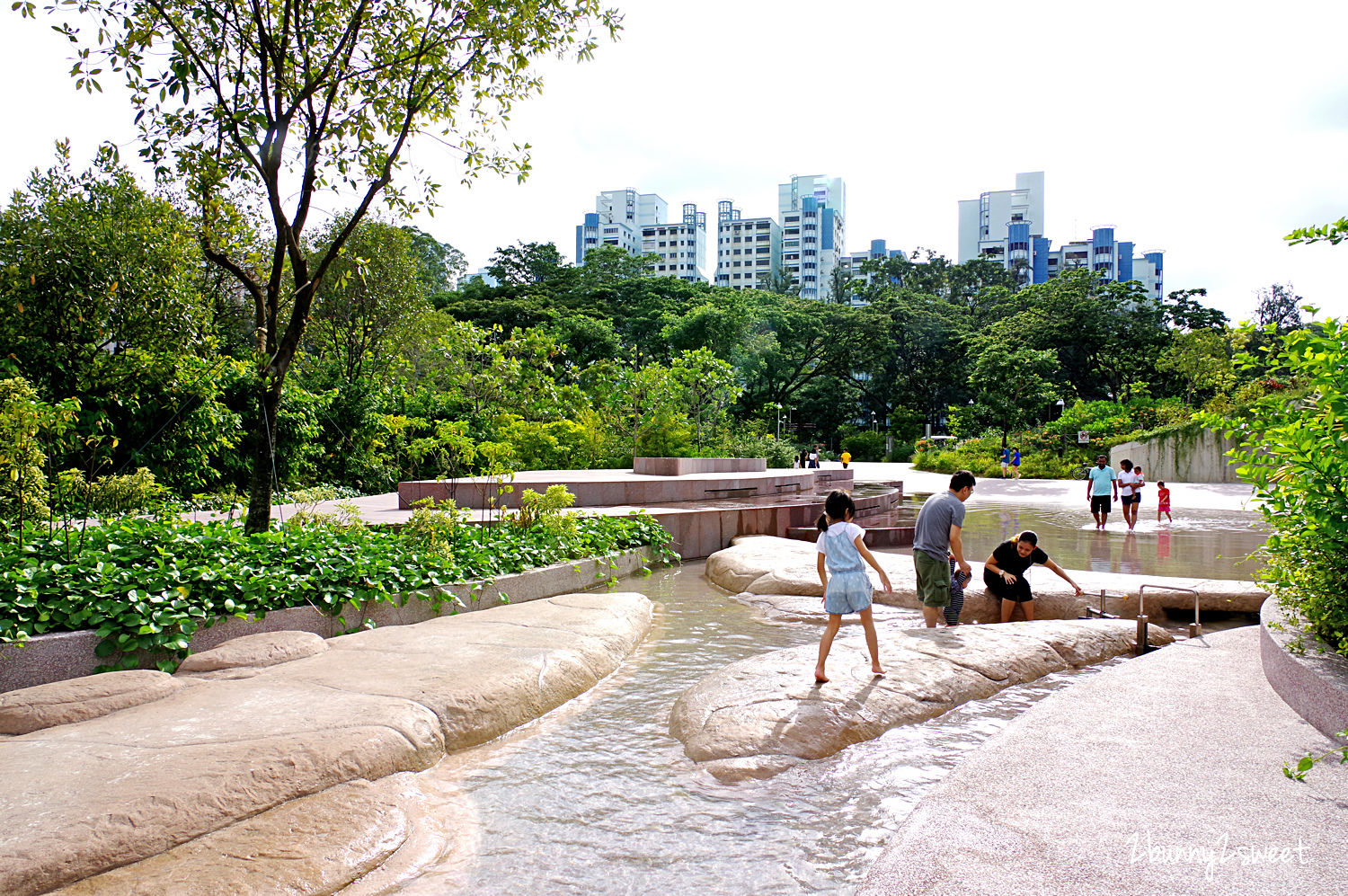 [新加坡。親子景點] 裕廊湖花園 Jurong Lake Gardens～新加坡第三個國家級公園全新開放!! Forest Ramble 兒童森林遊戲區、Clusia Cove 戲水區～親子必訪免費景點｜裕廊湖花園地圖｜裕廊湖花園交通｜2020 新加坡必玩景點 @兔兒毛毛姊妹花