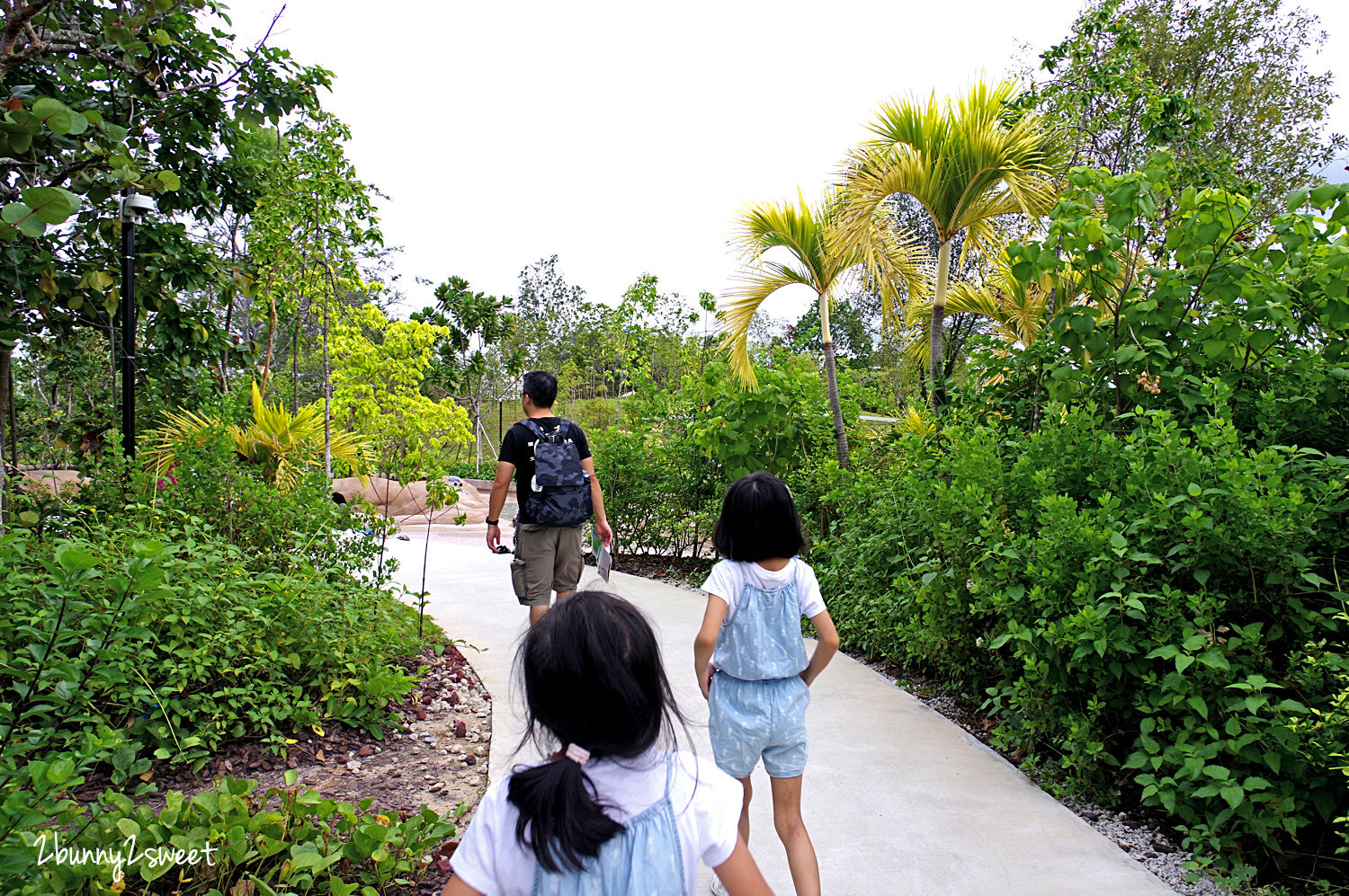 [新加坡。親子景點] 裕廊湖花園 Jurong Lake Gardens～新加坡第三個國家級公園全新開放!! Forest Ramble 兒童森林遊戲區、Clusia Cove 戲水區～親子必訪免費景點｜裕廊湖花園地圖｜裕廊湖花園交通｜2020 新加坡必玩景點 @兔兒毛毛姊妹花