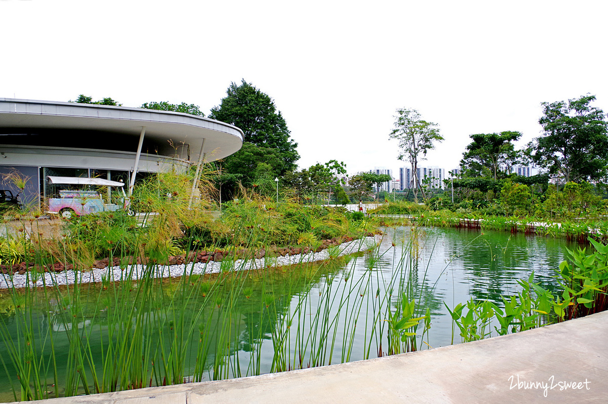 [新加坡。親子景點] 裕廊湖花園 Jurong Lake Gardens～新加坡第三個國家級公園全新開放!! Forest Ramble 兒童森林遊戲區、Clusia Cove 戲水區～親子必訪免費景點｜裕廊湖花園地圖｜裕廊湖花園交通｜2020 新加坡必玩景點 @兔兒毛毛姊妹花