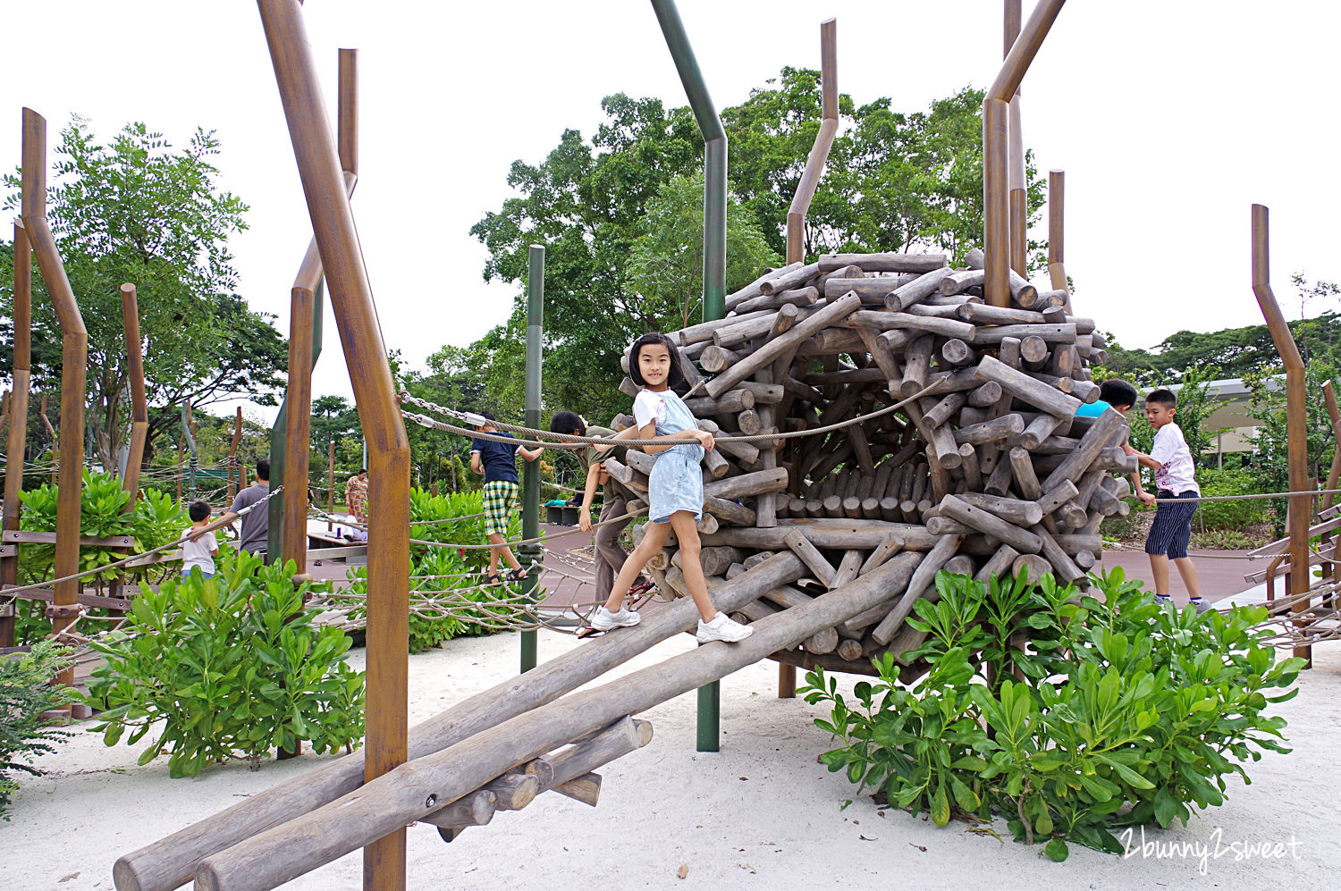 [新加坡。親子景點] 裕廊湖花園 Jurong Lake Gardens～新加坡第三個國家級公園全新開放!! Forest Ramble 兒童森林遊戲區、Clusia Cove 戲水區～親子必訪免費景點｜裕廊湖花園地圖｜裕廊湖花園交通｜2020 新加坡必玩景點 @兔兒毛毛姊妹花