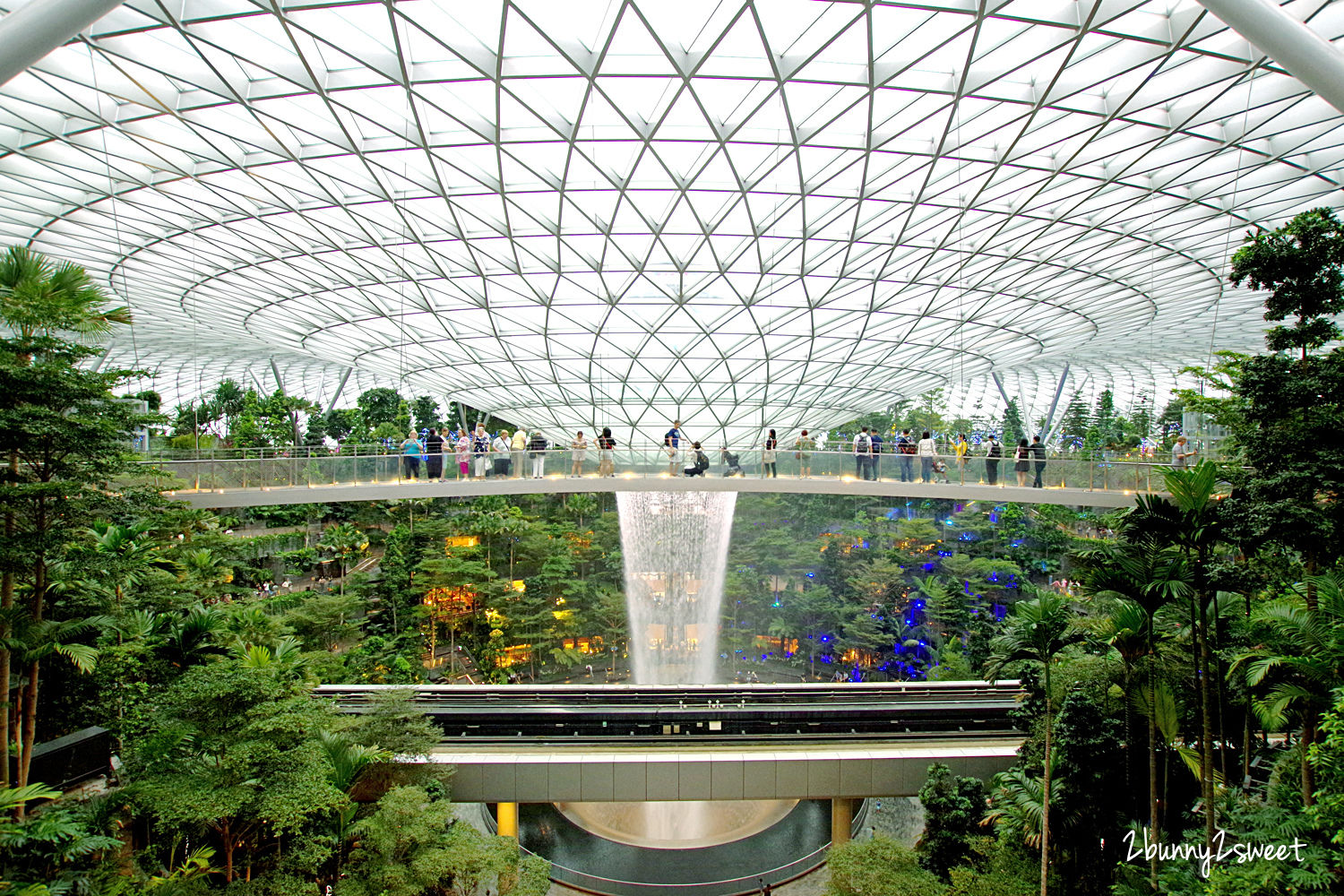 新加坡景點【星耀樟宜】五樓星空花園 Canopy Park 詳盡玩樂攻略｜新加坡室內景點 @兔兒毛毛姊妹花