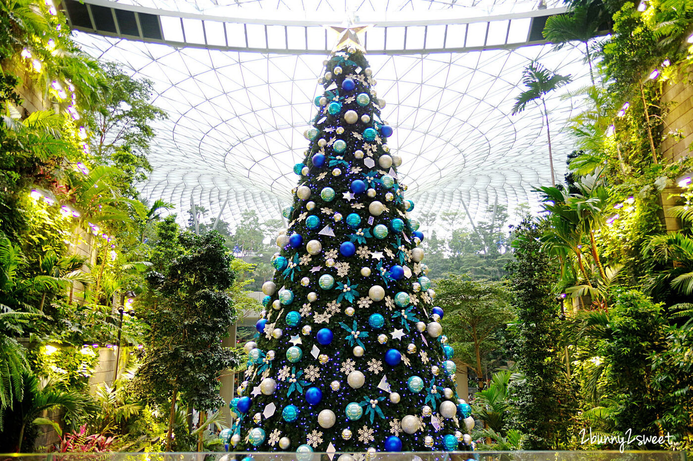 新加坡親子景點》星耀樟宜 Jewel Changi Airport ～必拍美景森林谷、雨漩渦，世界最大室內瀑布 @兔兒毛毛姊妹花