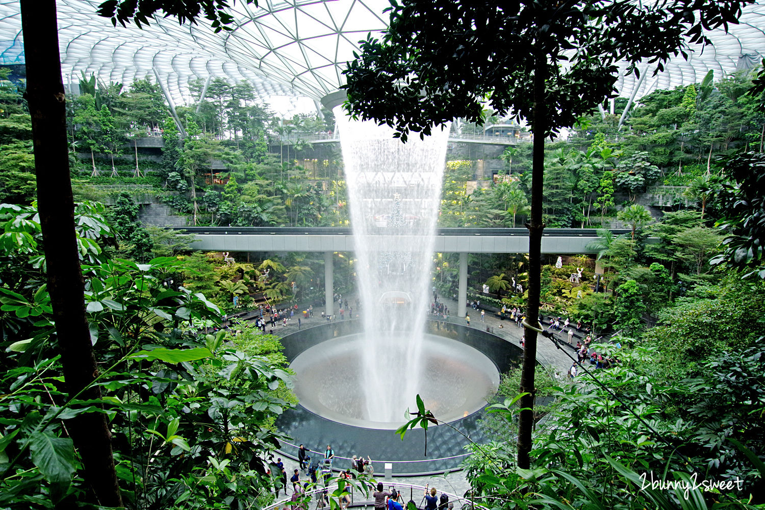 新加坡親子景點》星耀樟宜 Jewel Changi Airport ～必拍美景森林谷、雨漩渦，世界最大室內瀑布 @兔兒毛毛姊妹花