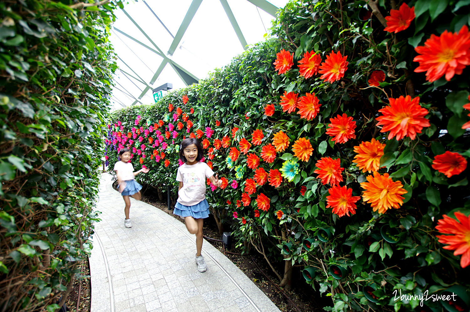 新加坡景點【星耀樟宜】五樓星空花園 Canopy Park 詳盡玩樂攻略｜新加坡室內景點 @兔兒毛毛姊妹花