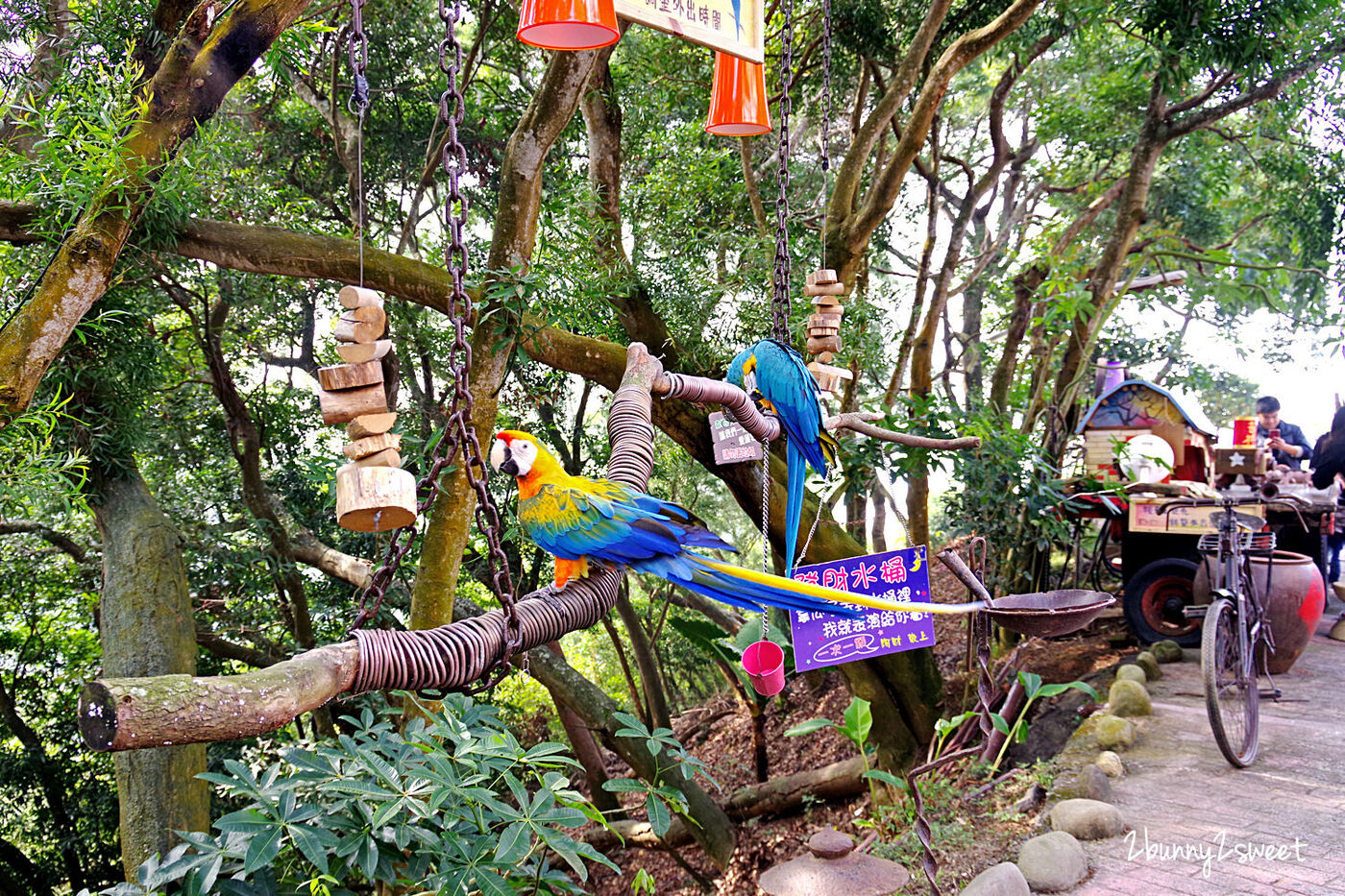 星月天空景觀餐廳｜南投八卦山無敵夜景親子農場～跟動物親密互動、嗨翻天 U 型溜滑梯 @兔兒毛毛姊妹花