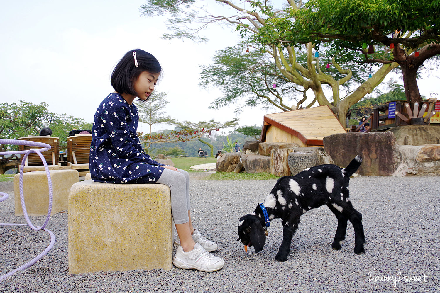 星月天空景觀餐廳｜南投八卦山無敵夜景親子農場～跟動物親密互動、嗨翻天 U 型溜滑梯 @兔兒毛毛姊妹花