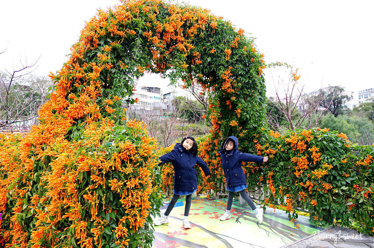 新北特色公園【鶯歌永吉公園】傑克魔豆主題溜滑梯遊戲場，還有3D彩繪牆、炮仗花海 @兔兒毛毛姊妹花