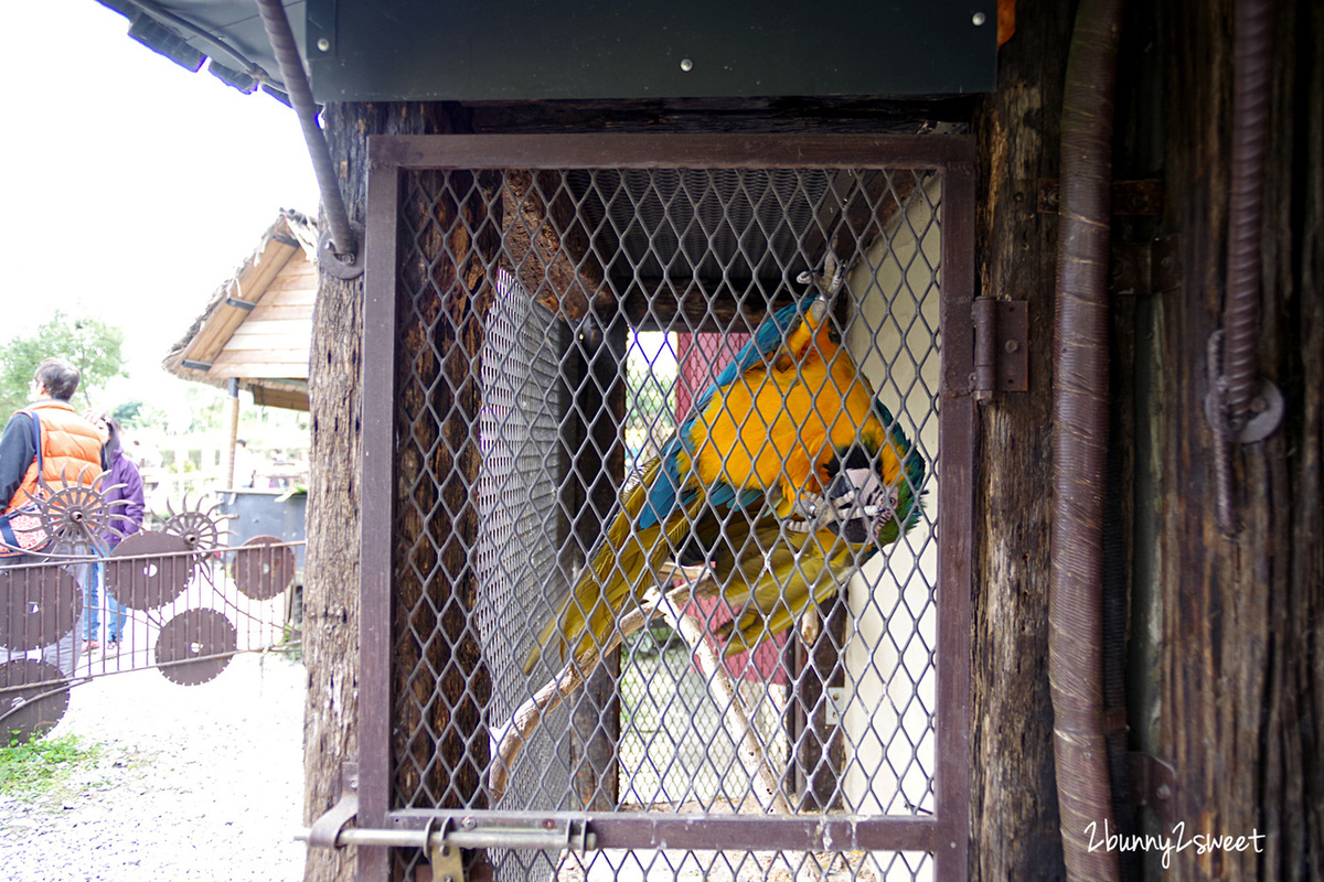 花蓮景點【Mr. Sam山姆先生咖啡館】精靈童話小屋、移動城堡餐車～50元門票抵消費 @兔兒毛毛姊妹花