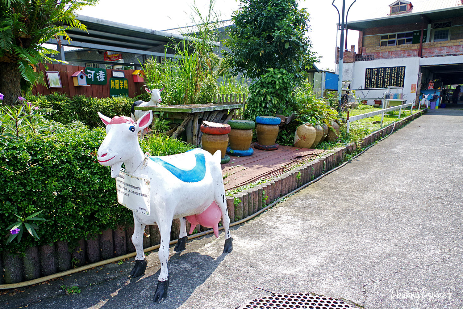 宜蘭員山親子景點》可達休閒羊場～免門票 超便宜餵動物農場～100 元可以餵羊喝奶吃草、餵雞、餵鴨、餵鵝、餵兔子、餵自己，還有羊奶冰淇淋 DIY｜宜蘭免費景點 @兔兒毛毛姊妹花