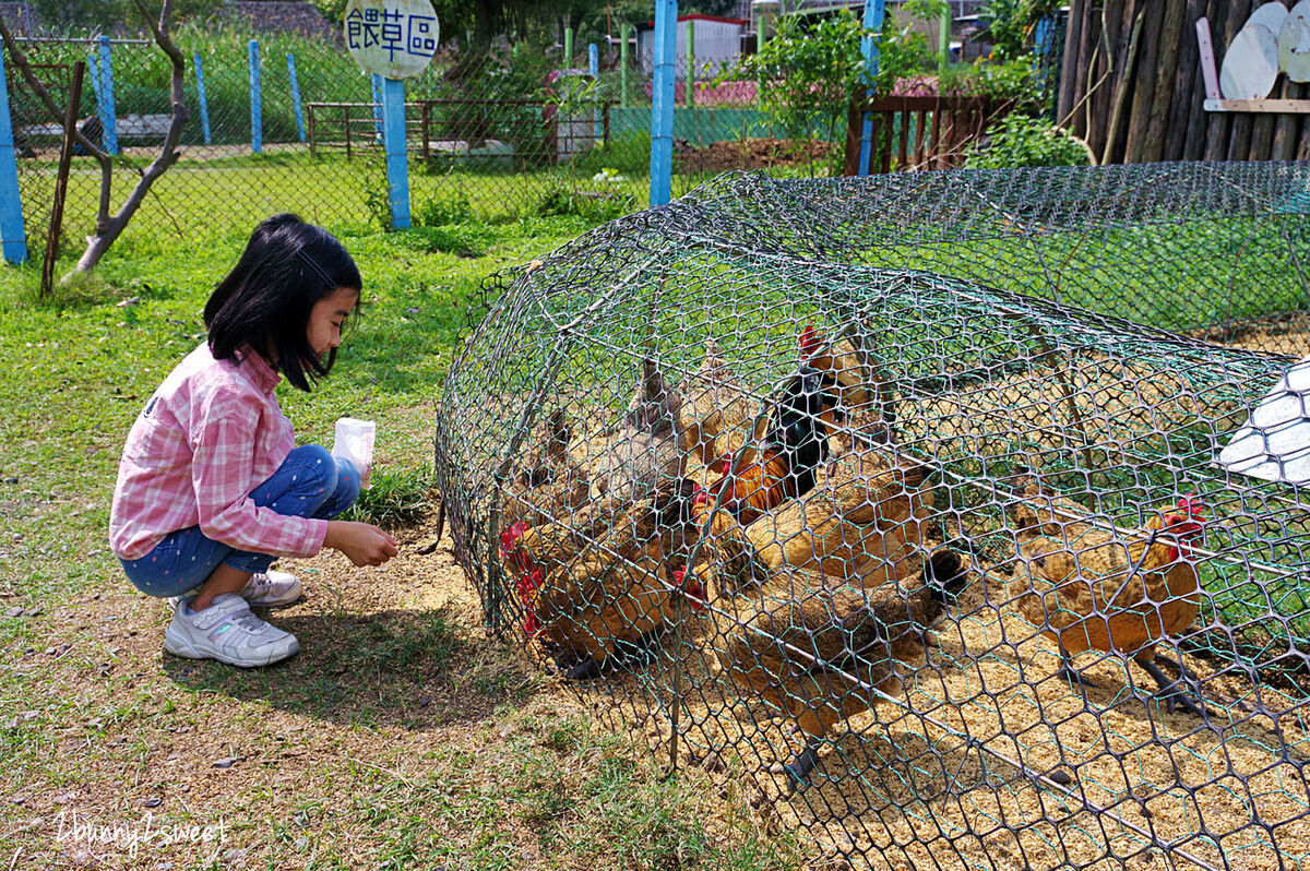 宜蘭員山親子景點》可達休閒羊場～免門票 超便宜餵動物農場～100 元可以餵羊喝奶吃草、餵雞、餵鴨、餵鵝、餵兔子、餵自己，還有羊奶冰淇淋 DIY｜宜蘭免費景點 @兔兒毛毛姊妹花